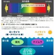 画像11: (31%引) ヤマシタ エギ王K 3.0号 16g 490グロー ケイムラ ベーシック ネオンブライト ヤマリア エギングルアー 3号