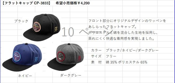 画像5: (28%引) サンライン フラットキャップ CP-3833 ブラック ネイビー ダークグレー フィッシング 帽子 ウエア 磯釣り 鮎 船 ルアー 釣具 (2026年新製品予約4月発売)