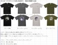 画像10: (28%引) サンライン シルキー ドライTシャツ SUW-15602DT ブラック/ダークグレー/ライトグレー/オリーブ M L LL 3L ウエア 磯釣り 鮎 船 ルアー 釣り具 (2026年新製品予約3月発売) (10)