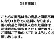 画像9: (28%引) サンライン シャクケース SFB-0304 ブラック レッド フィッシング ポーチ カバン 磯釣り 鮎 船 ルアー 釣具 (2026年新製品 10月発売予約) (9)