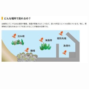 画像6: 【31%引 ヤマシタ エギーノ もぐもぐサーチ 3.2号 20g エギングルアー アオリイカ ラトル餌木 ヤマリア (6)