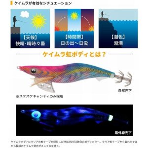 画像9: (31%引) ヤマシタ エギ王K 2.5号 11g 490グロー ケイムラ ベーシック ネオンブライト ヤマリア エギングルアー (9)