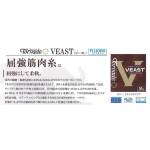 画像2: (40%引) サンライン トルネード ビースト 0.6号 0.8号 1号 1.25号 1.5号 1.75号 2号 2.5号 3号 50m フロロカーボン ハリス 磯 船 ルアー 日本製 釣り糸 国産ライン (2)